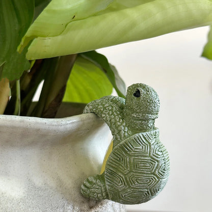 GardenBuddy Turtle