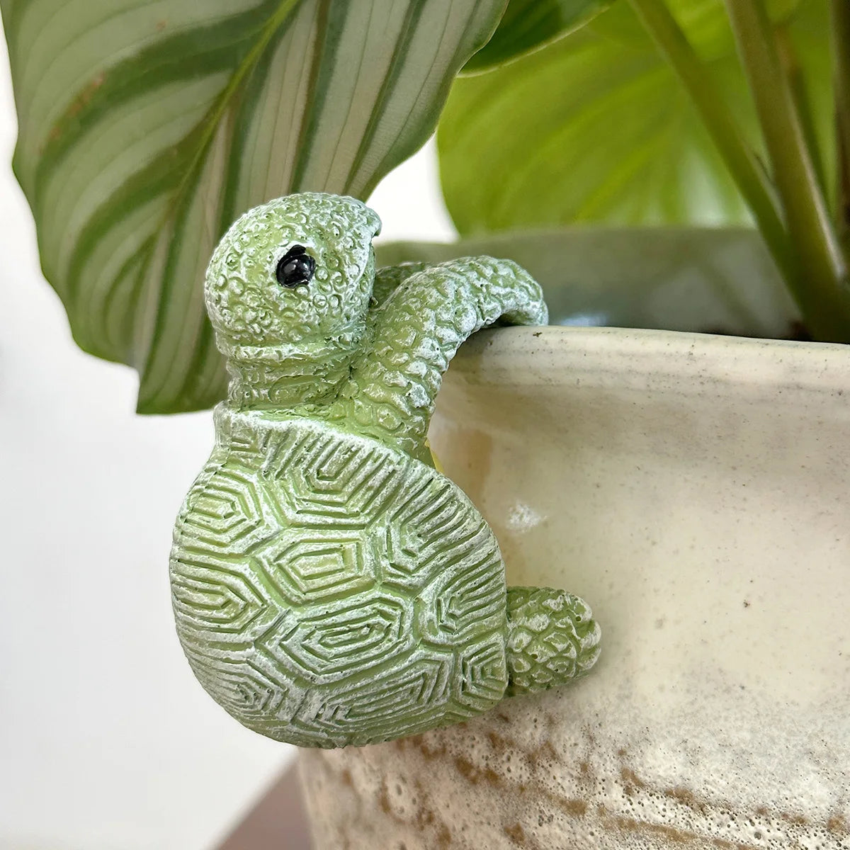 GardenBuddy Turtle